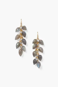 Chan Luu Earrings^Delphine Drop Earrings Labradorite
