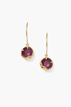 Chan Luu Earrings^February Birthstone Earrings Amethyst Crystal
