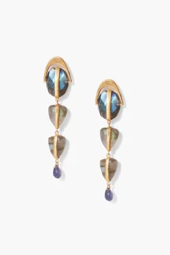 Chan Luu Earrings^Labradorite Mix Rise Earrings